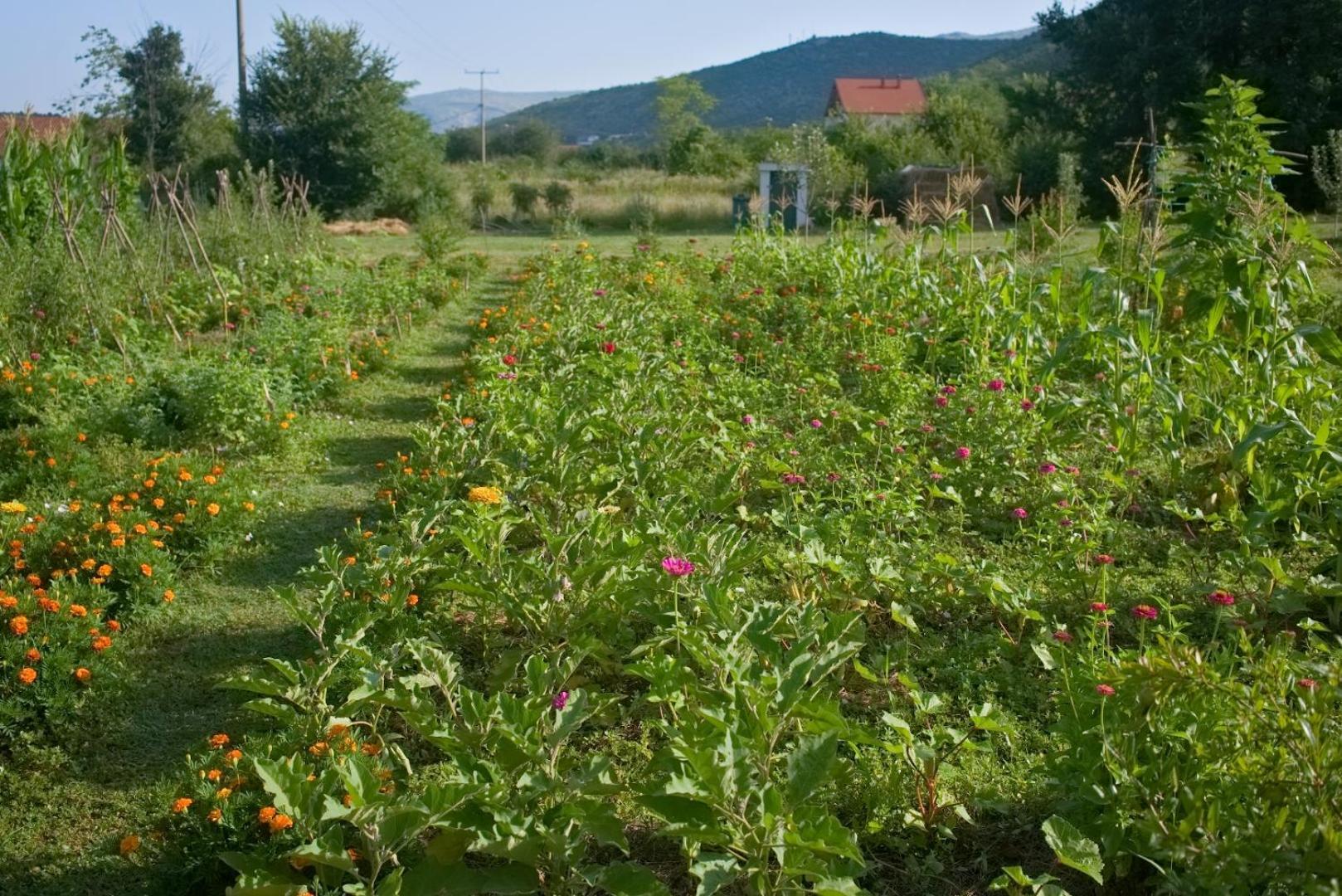 Lodge Oz - Obecana Zemlja Permaculture Homestead *